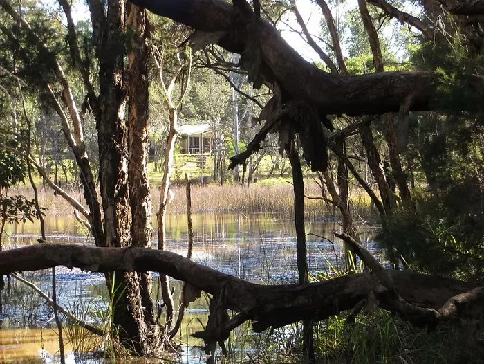 Welcome to Australian Bush Life
