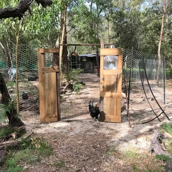 The gates of Wondamus - open