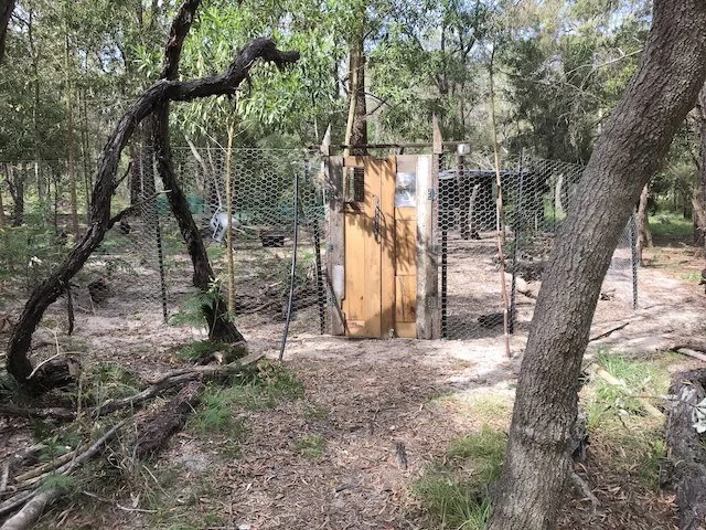 Gates of Wandamas
