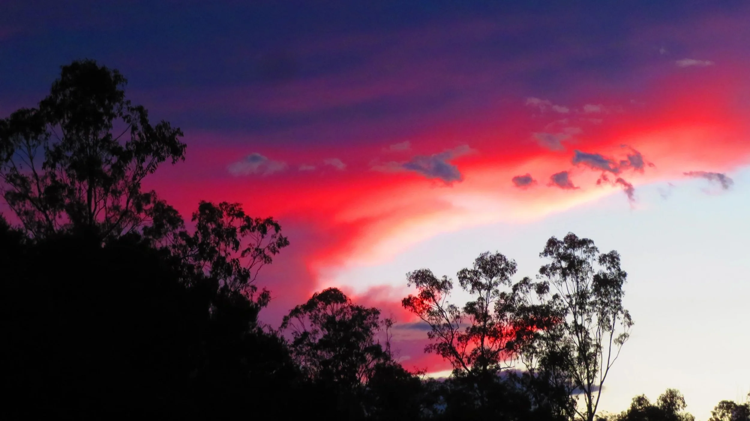 Evening sunset