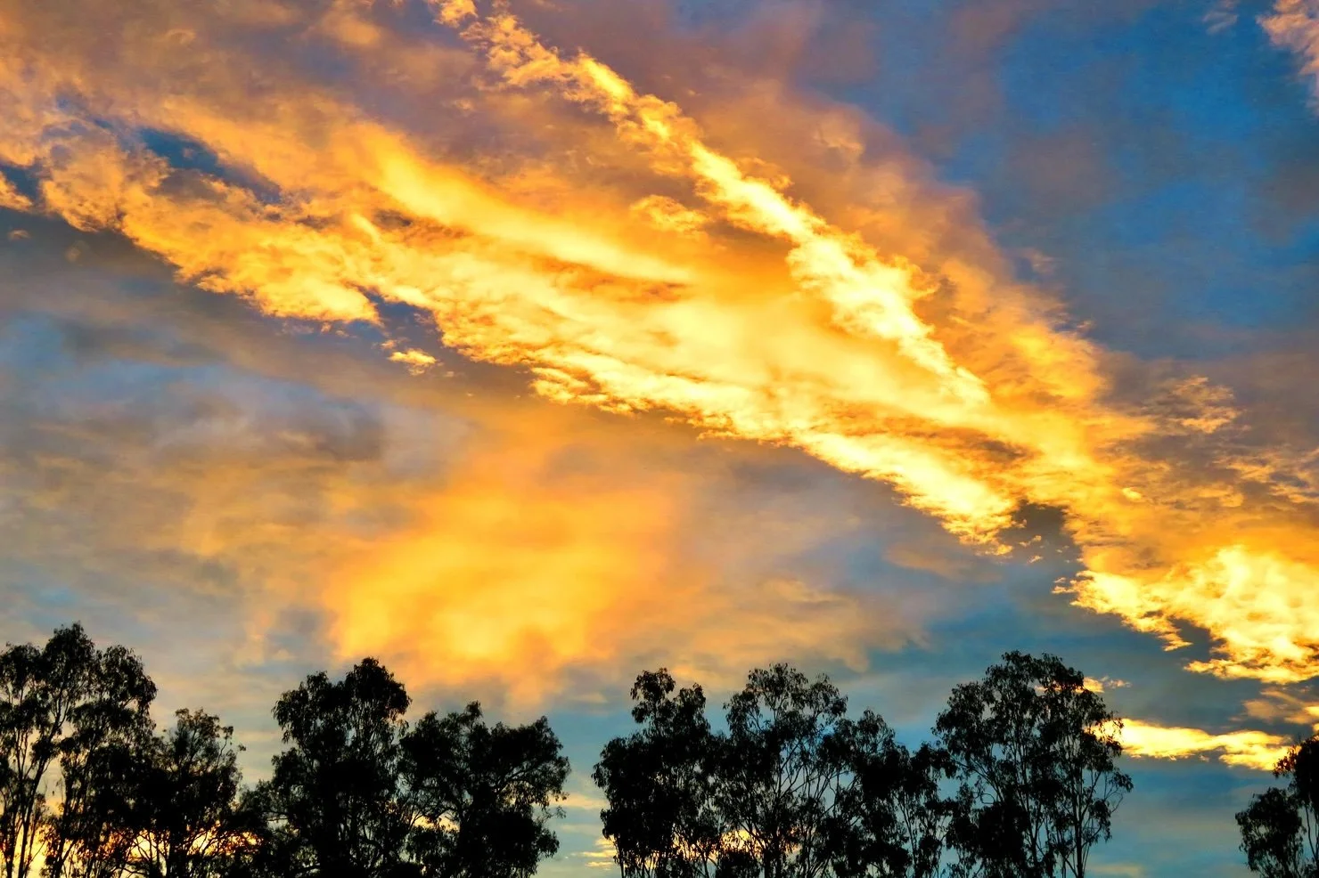 Dawn light