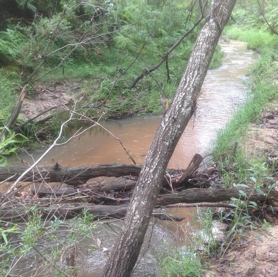 creek 1.jpeg