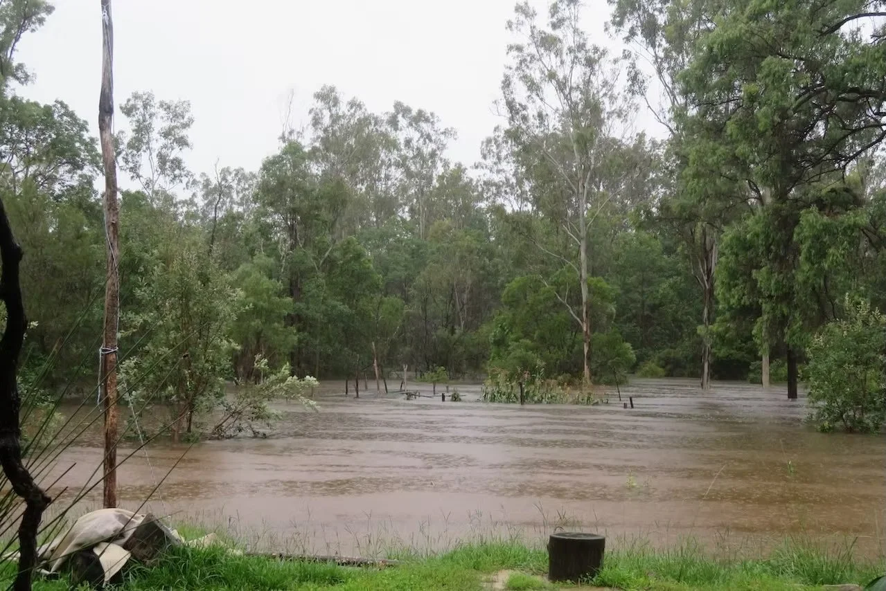 The Floods of 2022