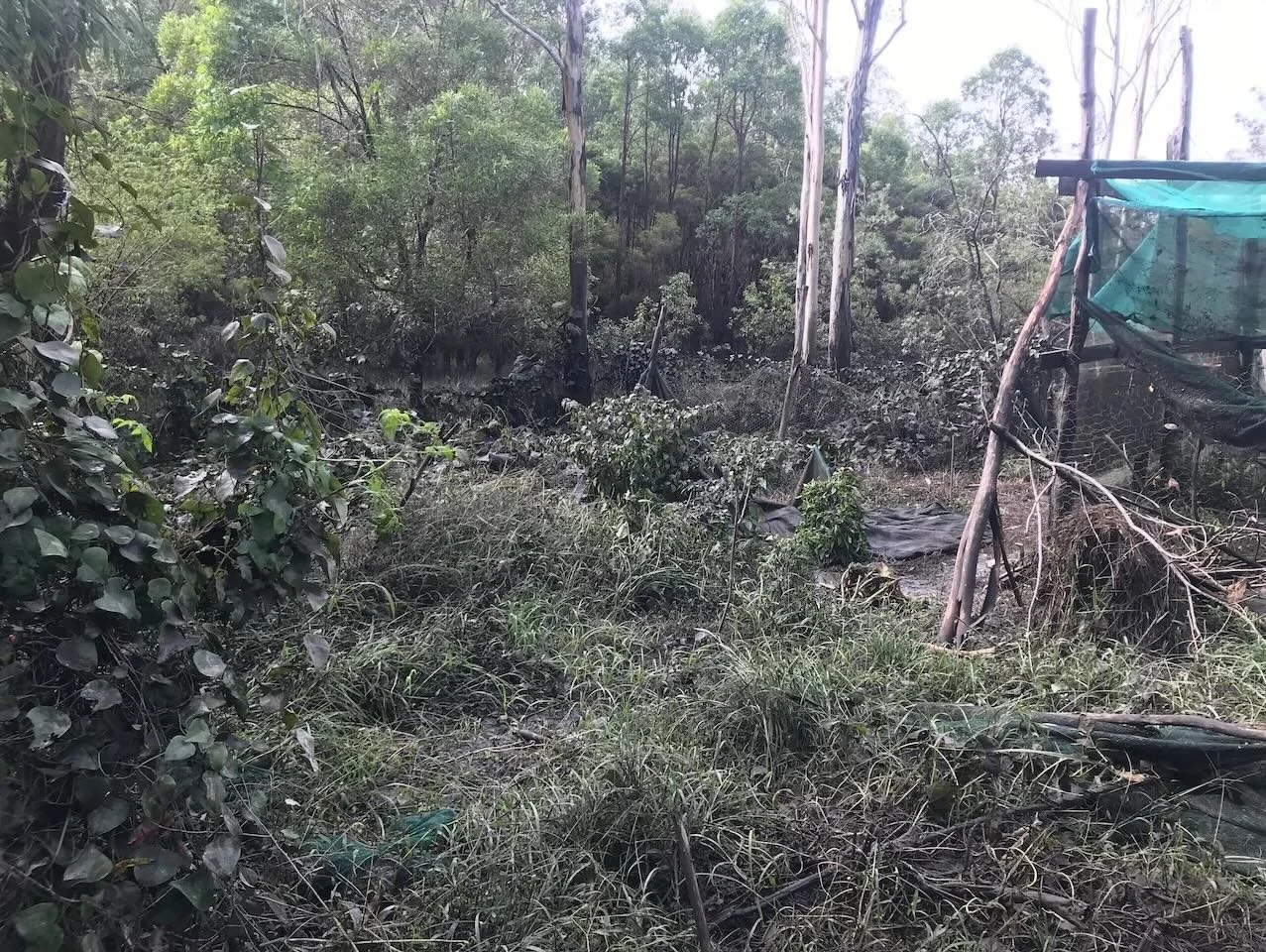 More garden destruction