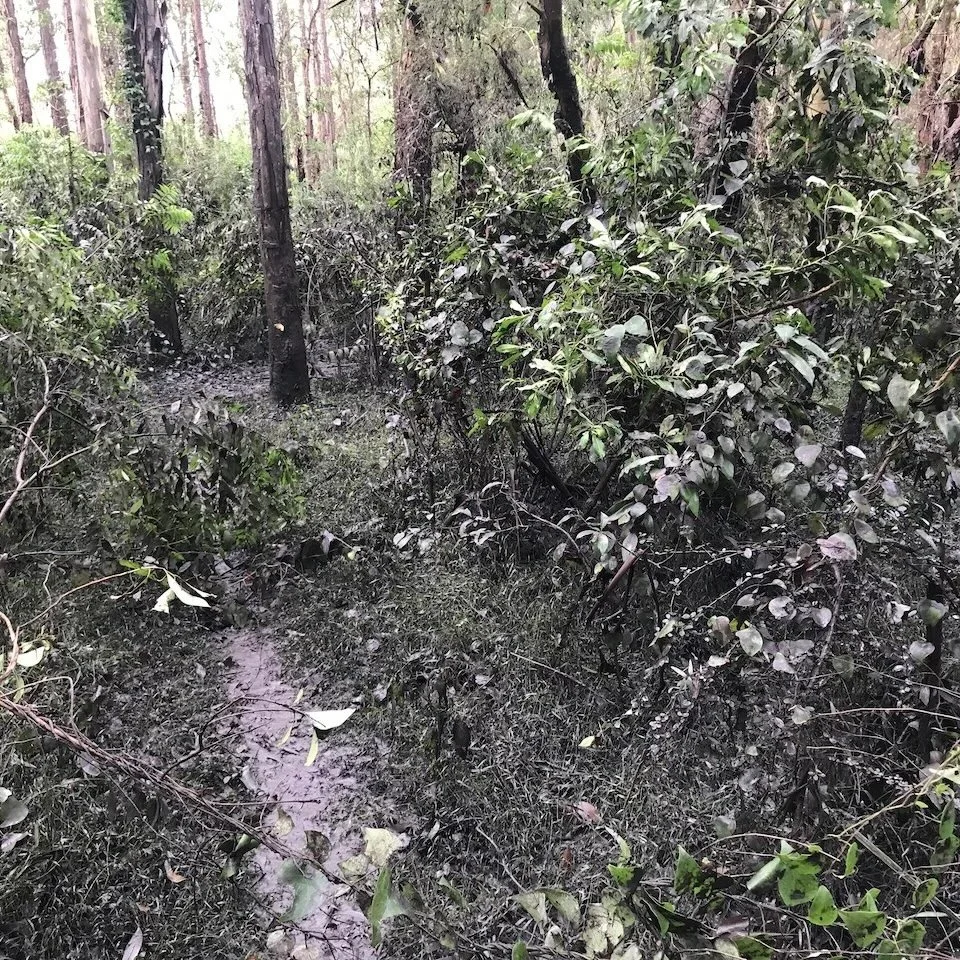 More mud