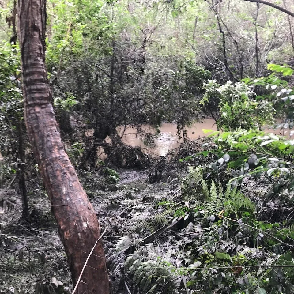 The creek is still high