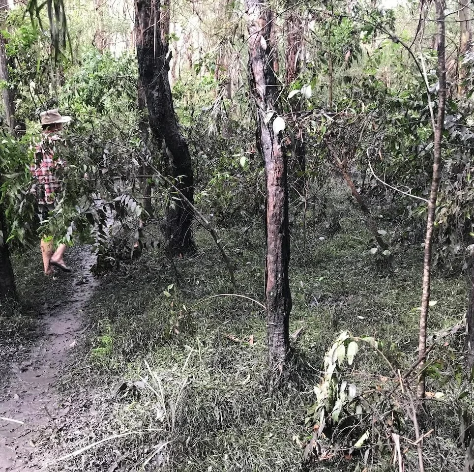 The path is a mess