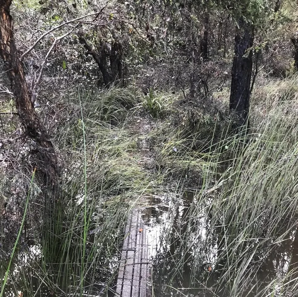 The bridge to the creek