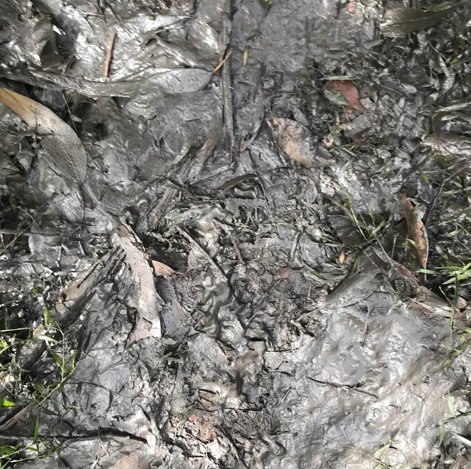 Mud