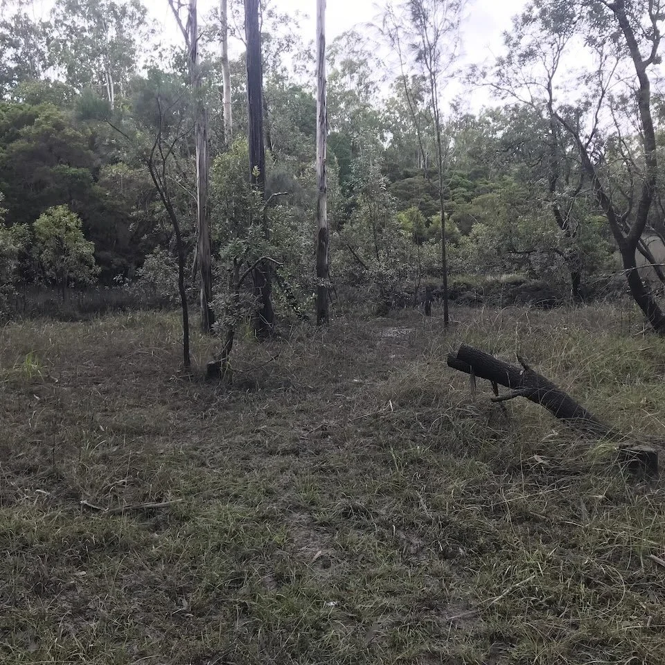 Mud stretching into the wetland