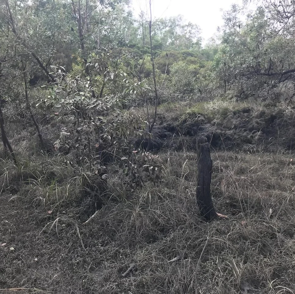 More mud