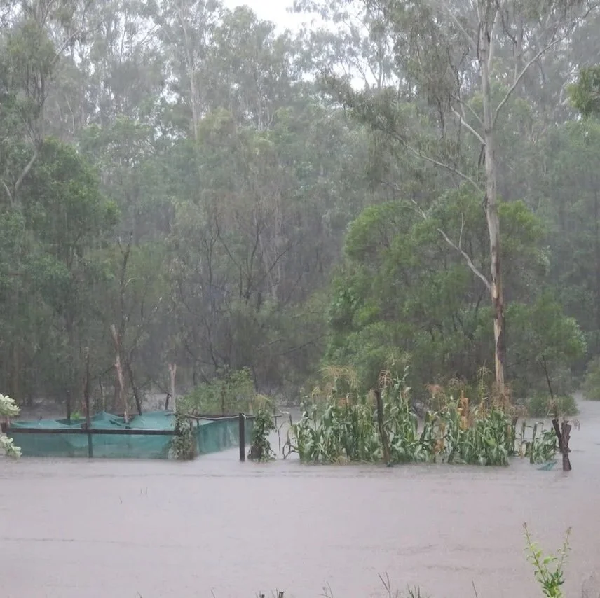 8:00am garden almost gone