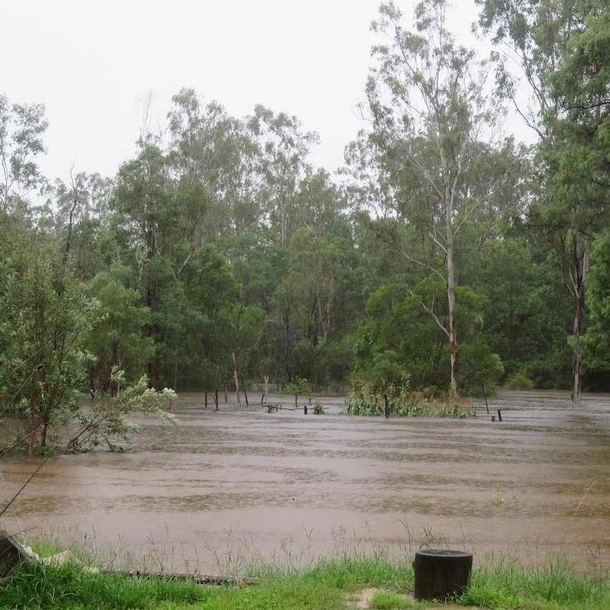 10:00 garden almost gone