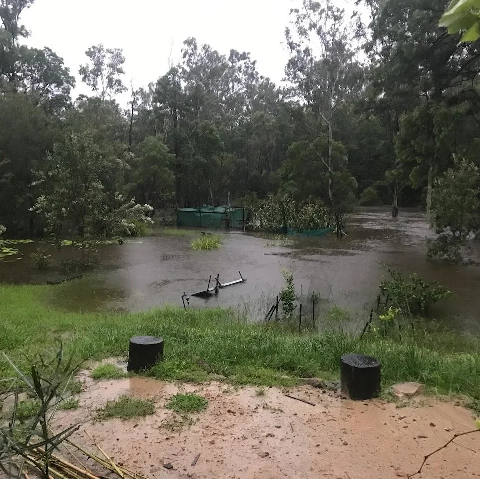 7:10 Water views rising