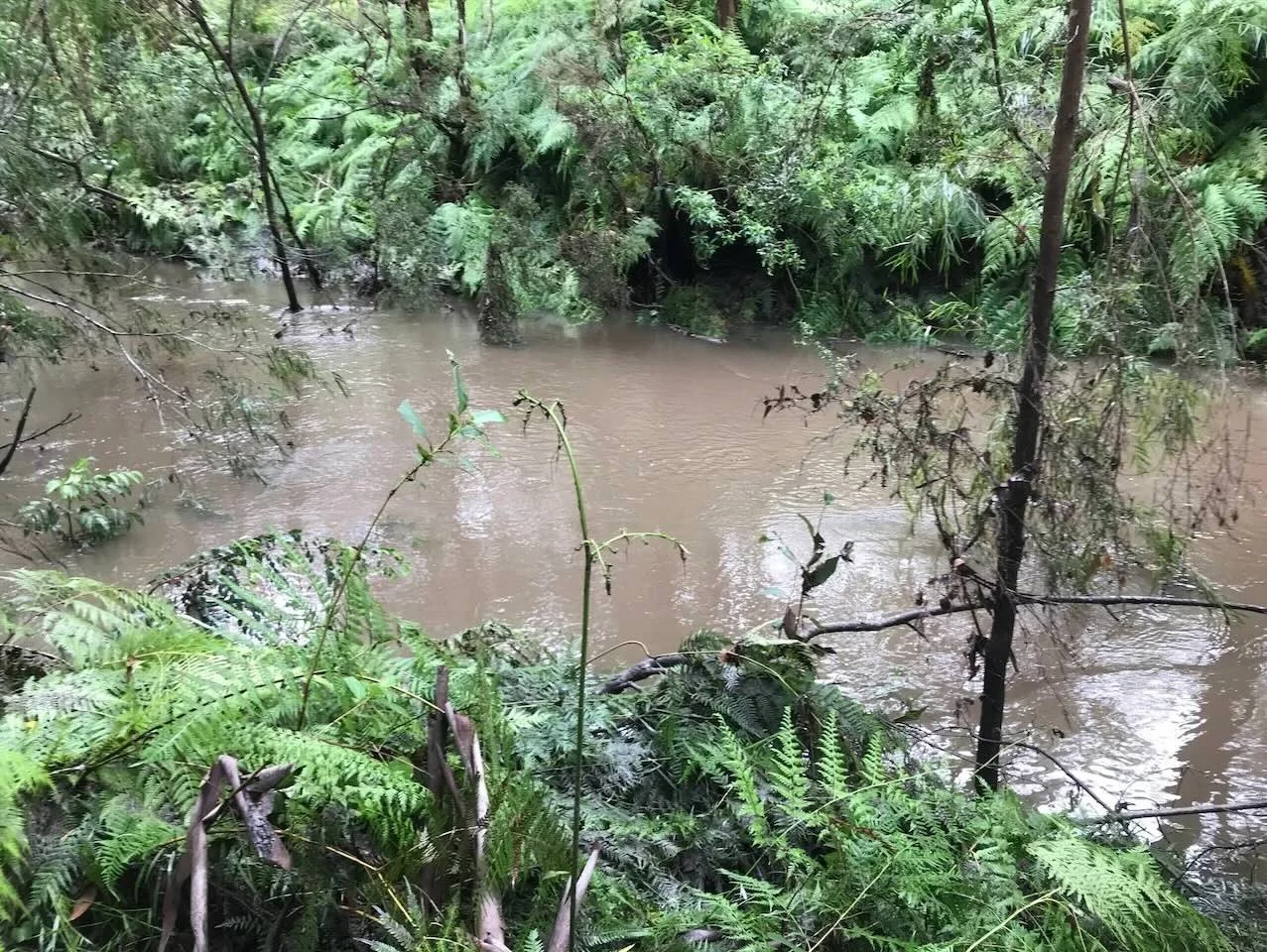The creek is still very high