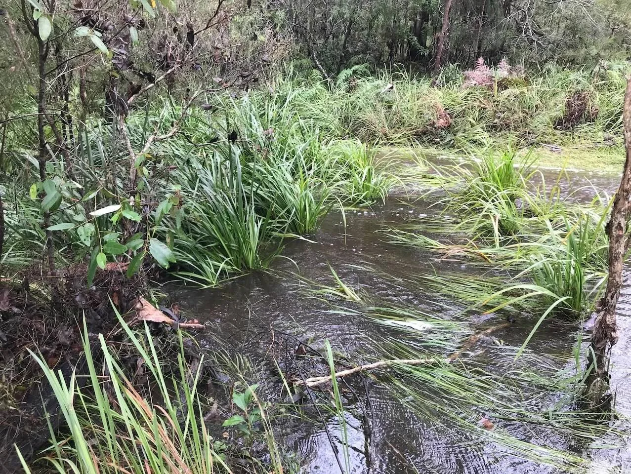 A strong flow out