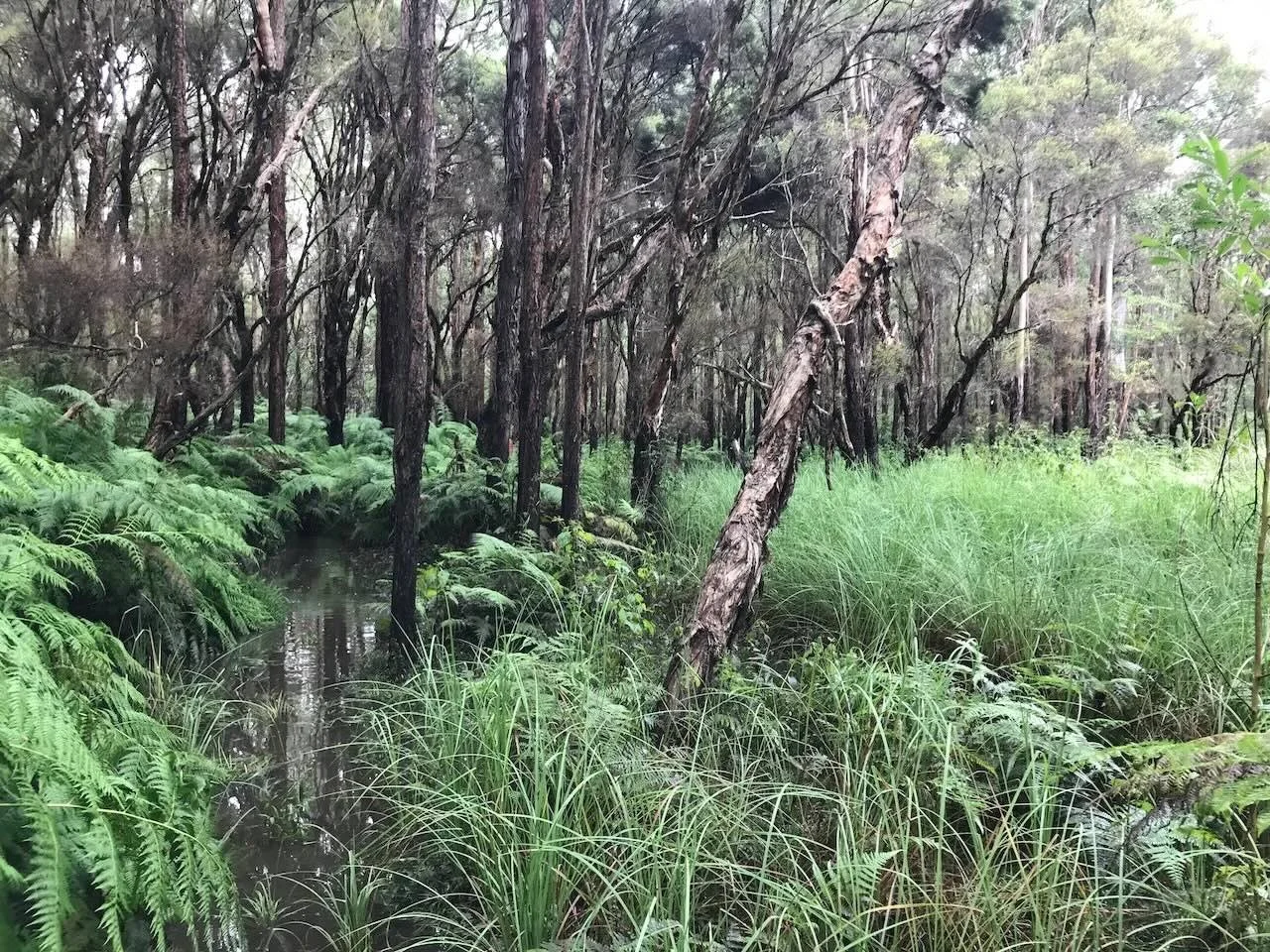 Some areas still under water