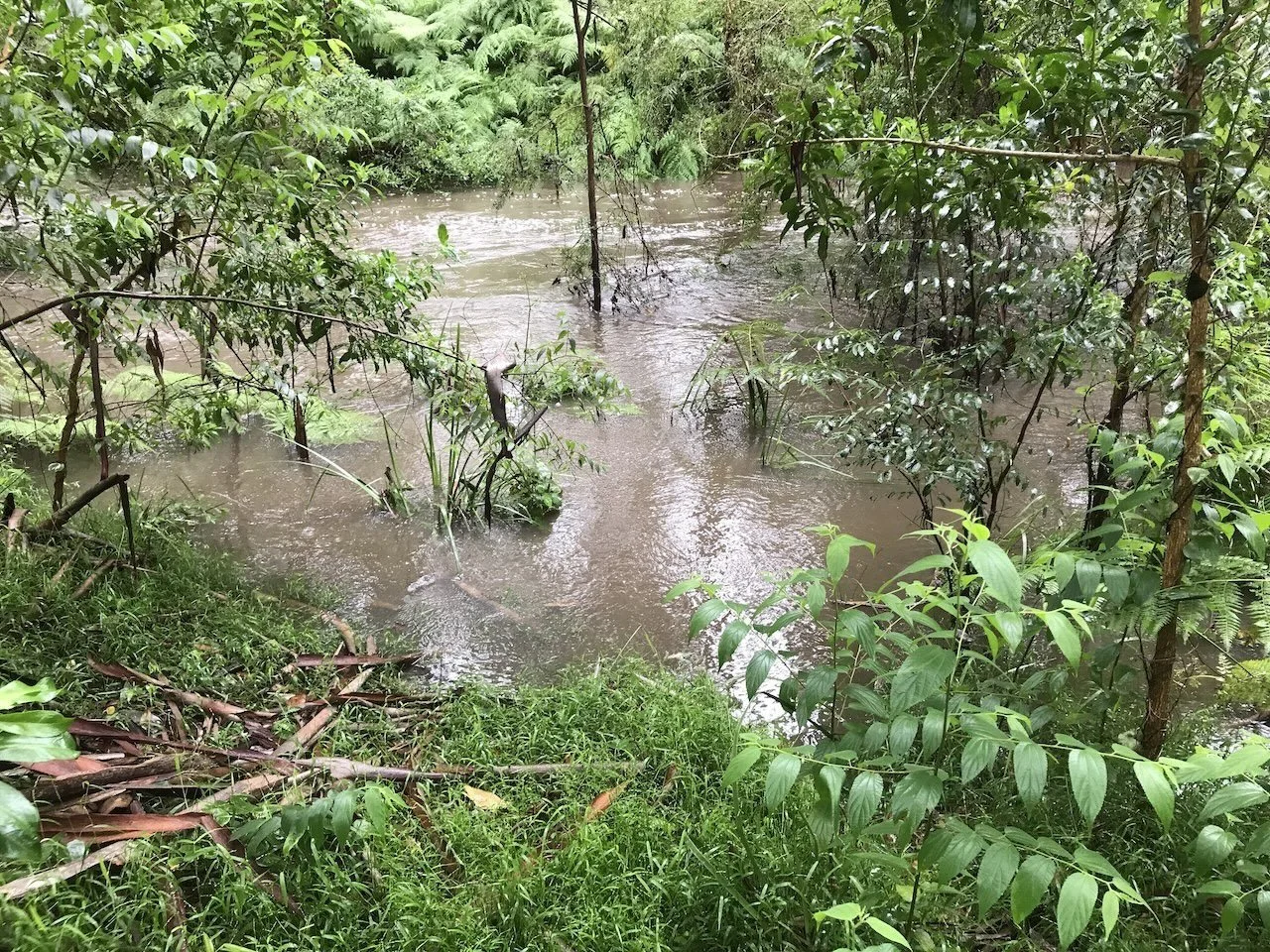The creek in full flow