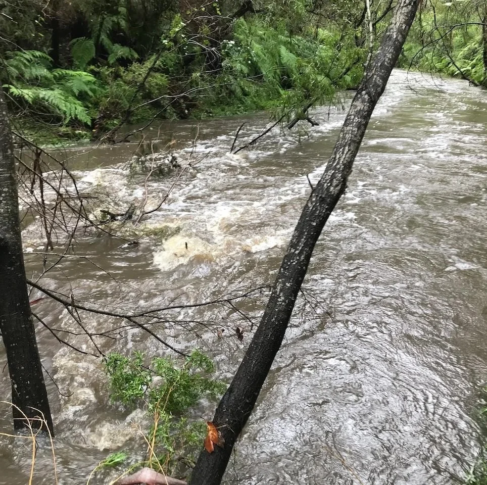The raging creek