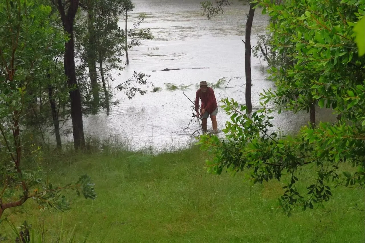 To the rescue