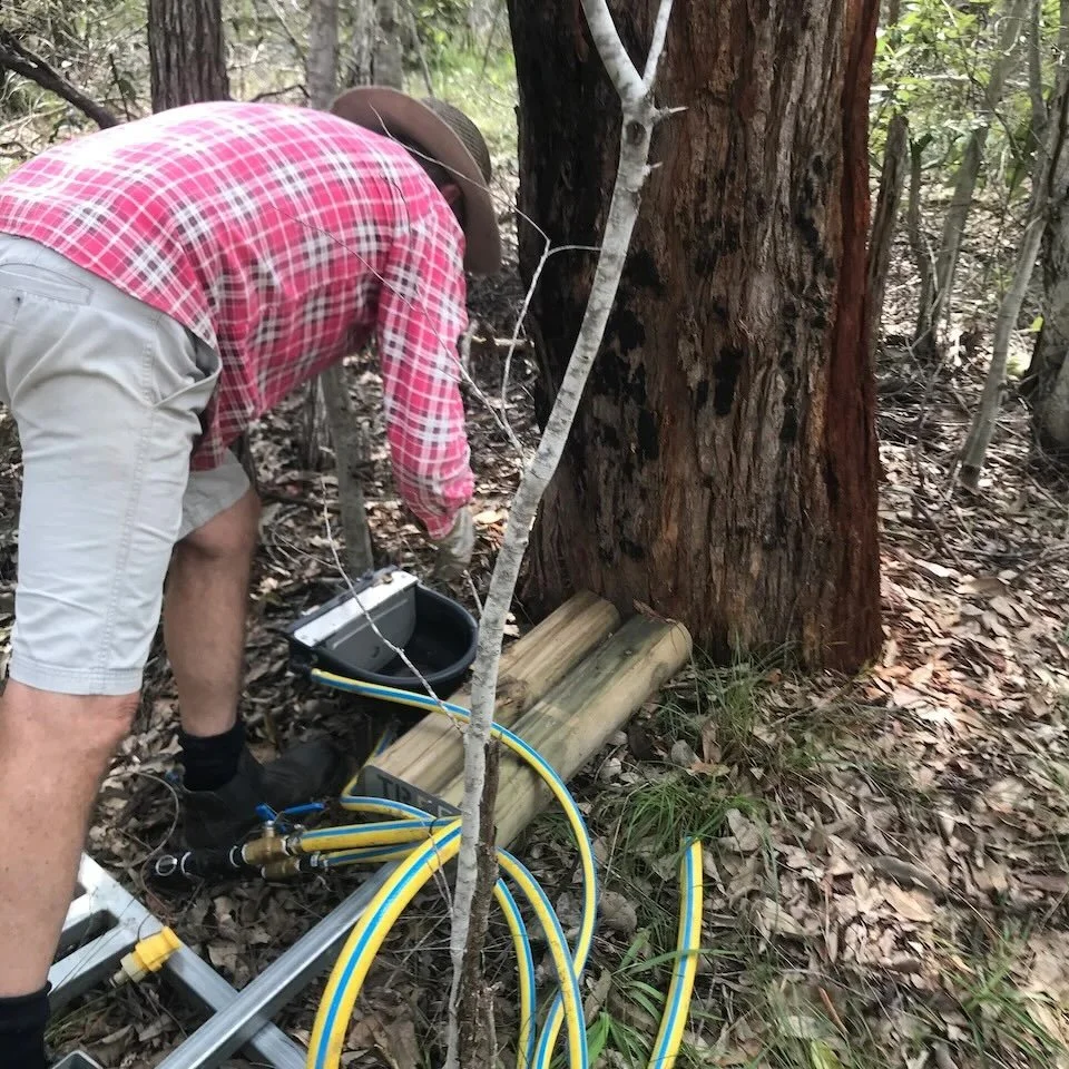 Drinking trough set up