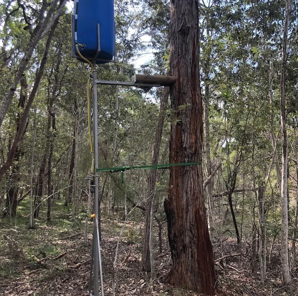 Tree Troff® raised