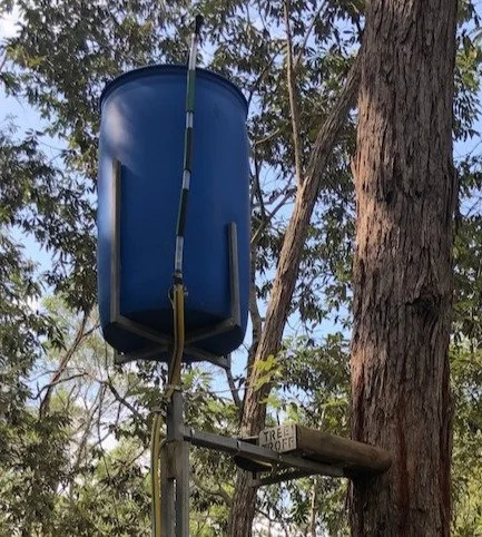 Close up of the Tree Troff® raised