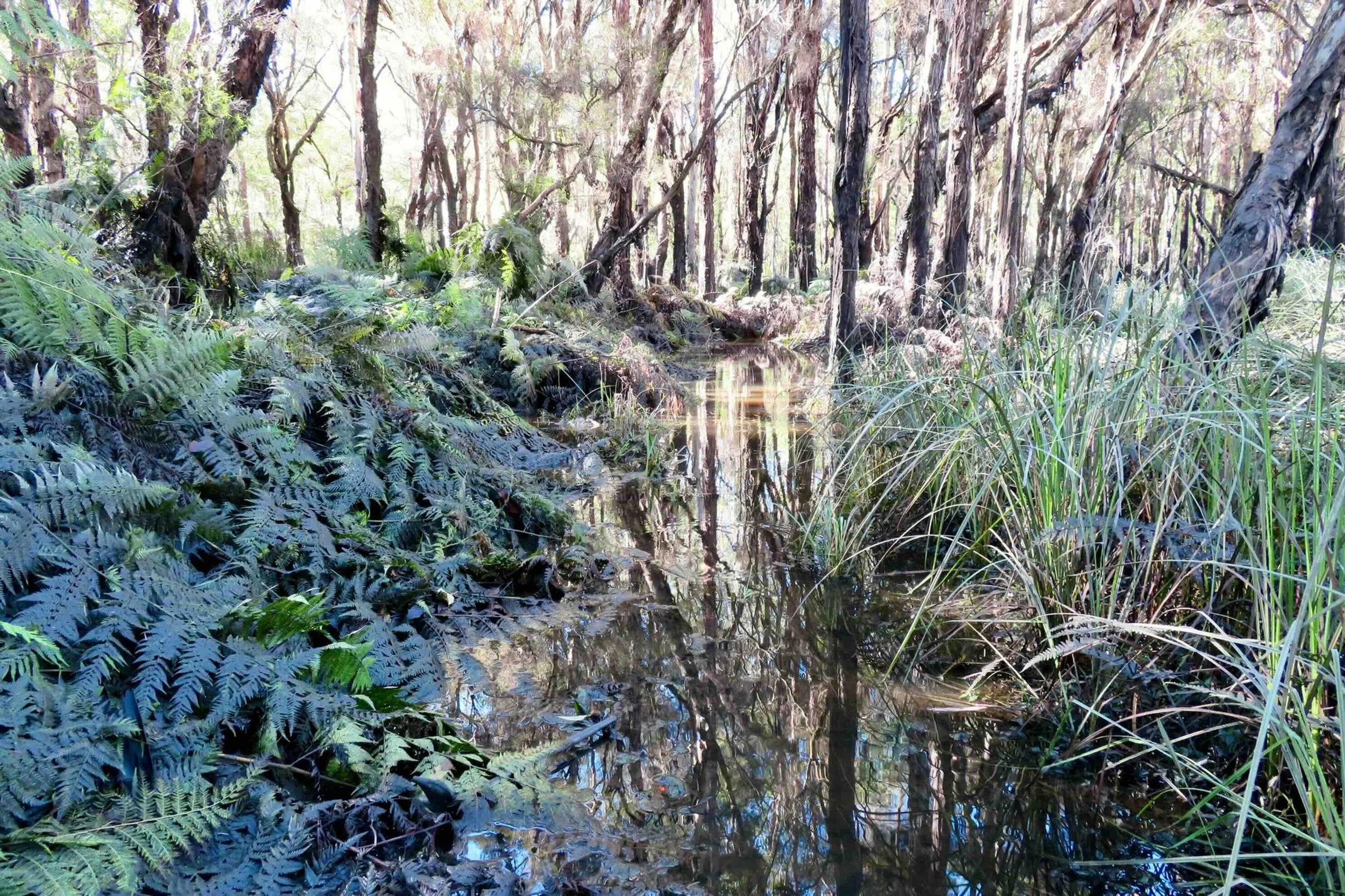 Water everywhere