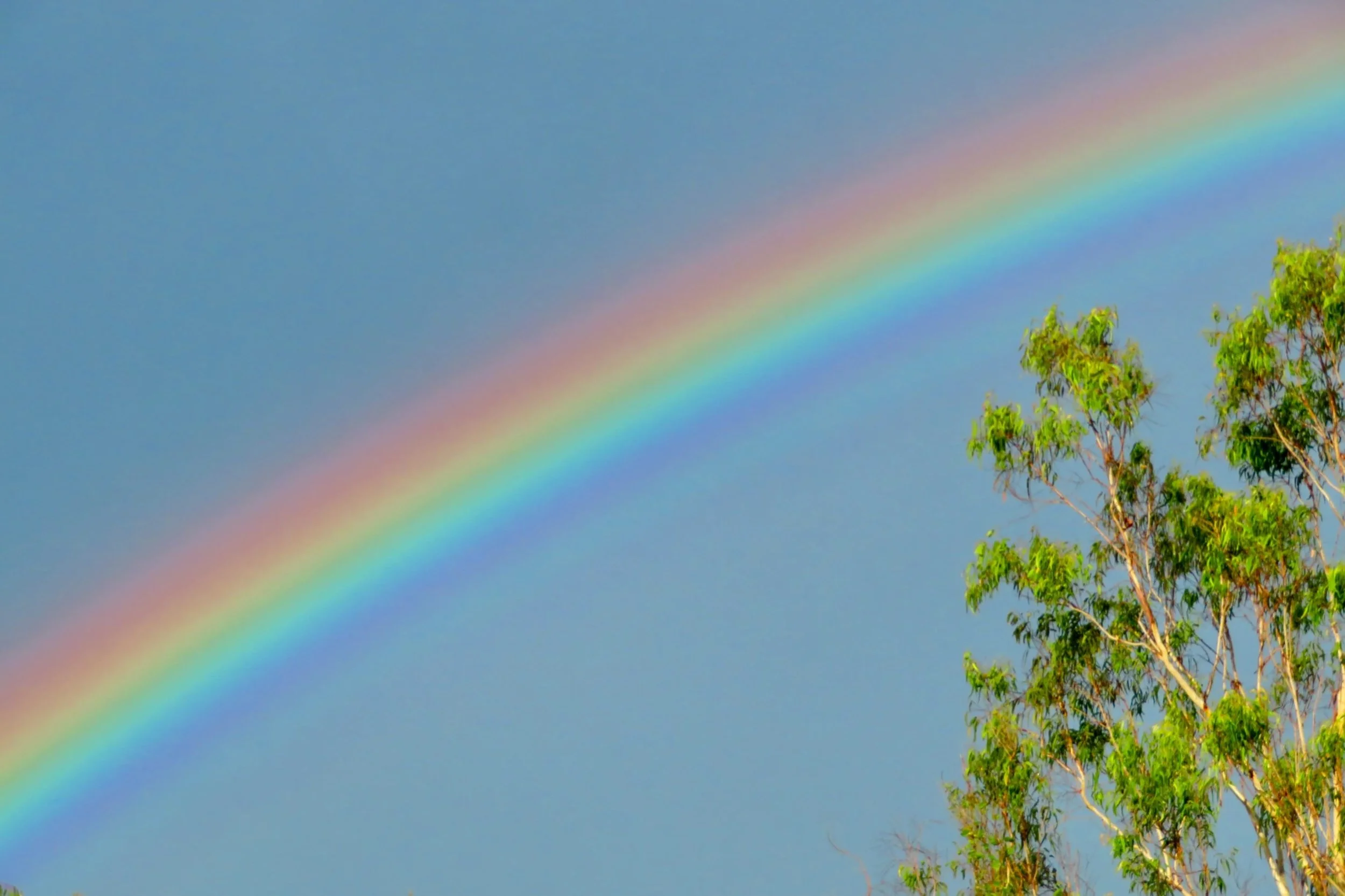 Rainbow