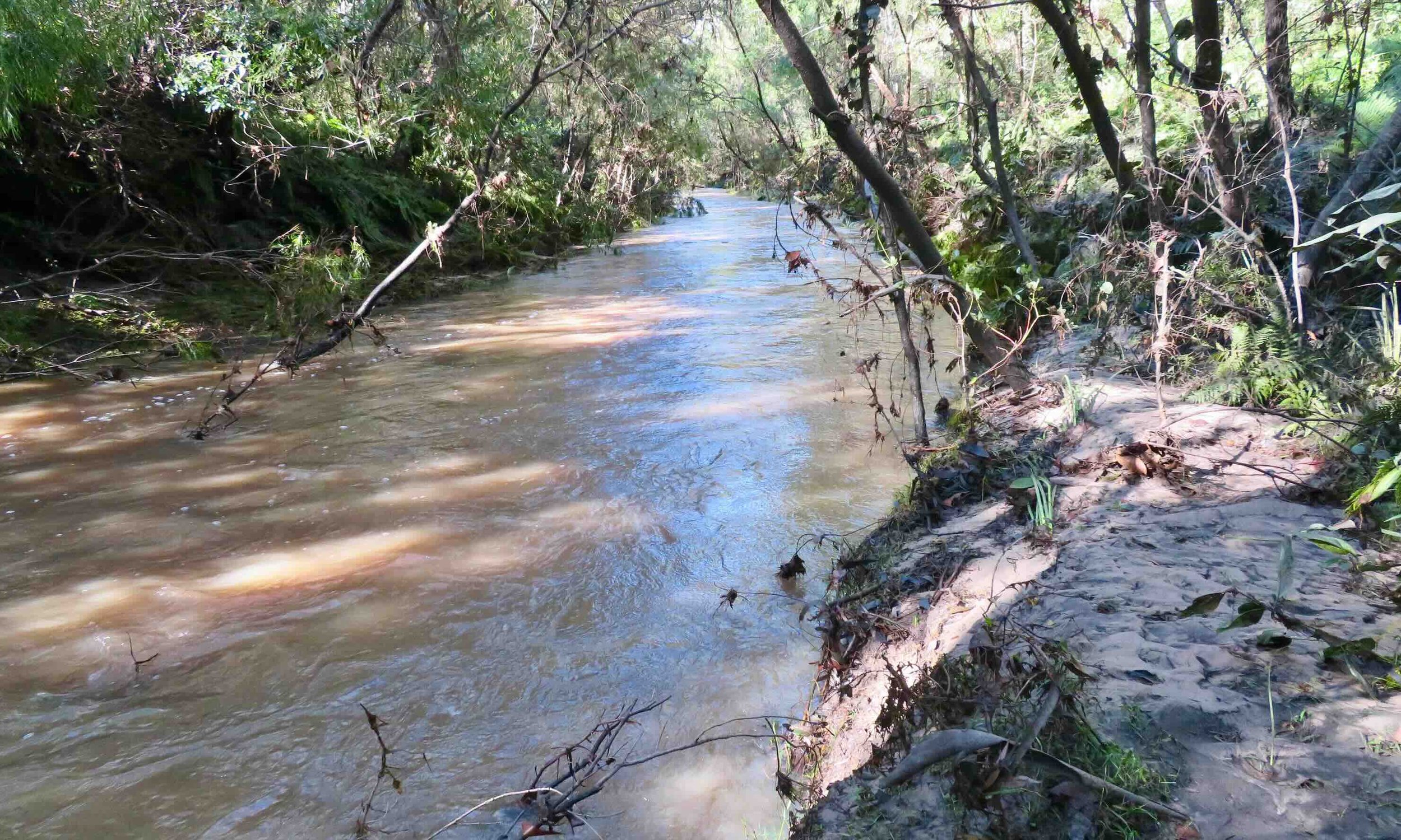 Creek in full flow