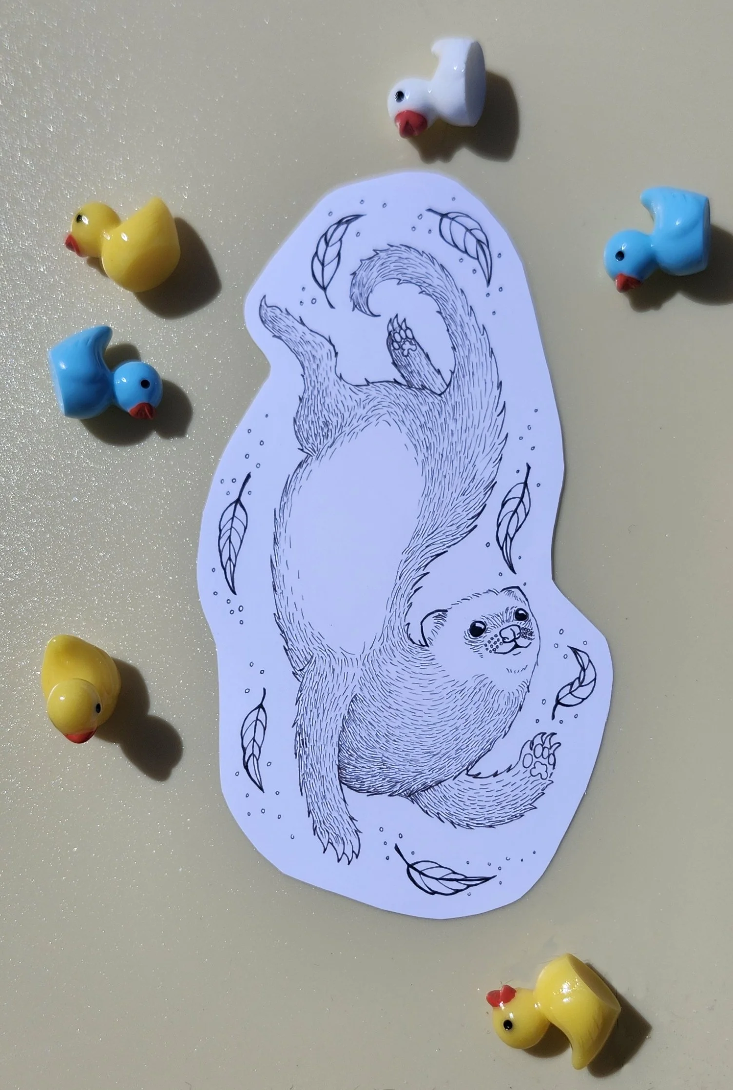 fERRET.jpg