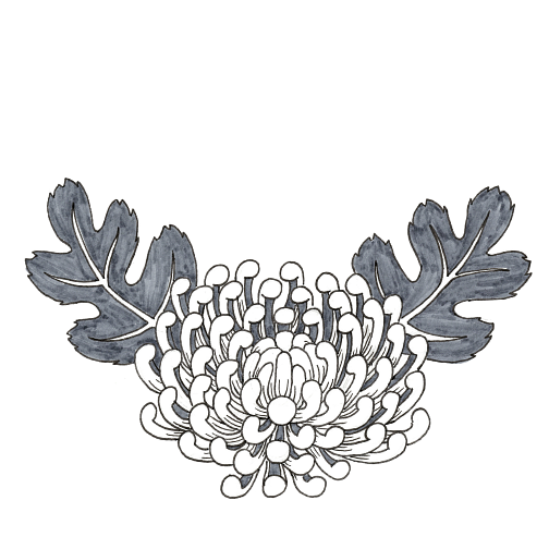 Chrysanthemum Version Two Sticker