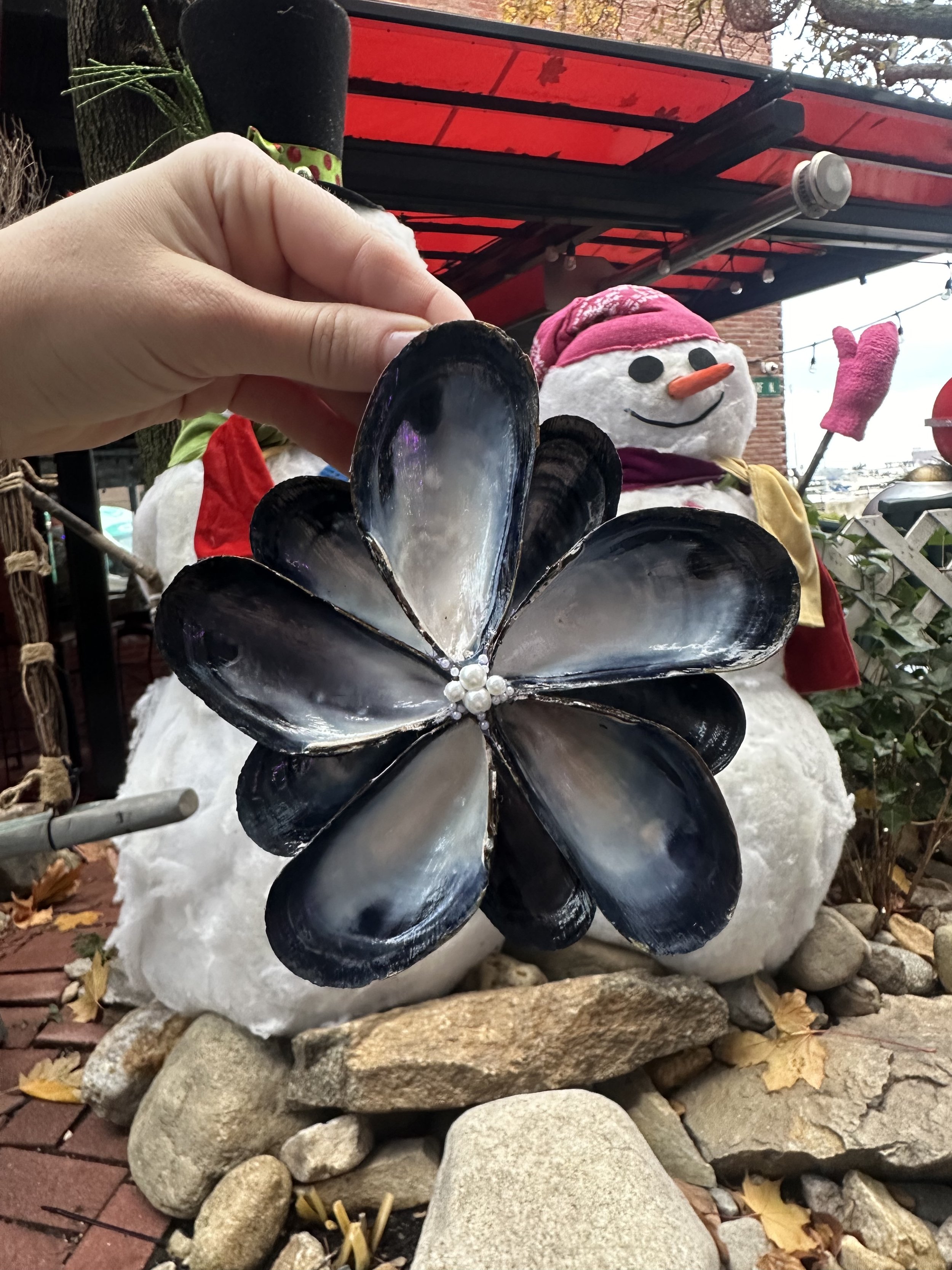 Mussel Ornament | Double Layer