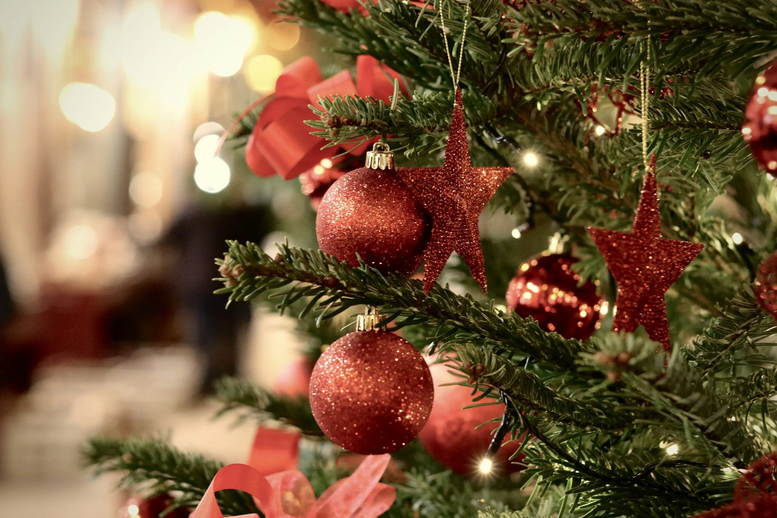 Zonta Club of Sydney Christmas Dinner