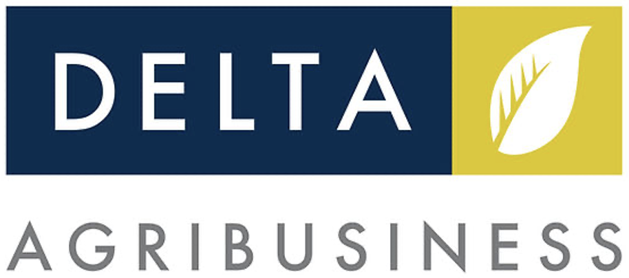 Delta Logo (1).png