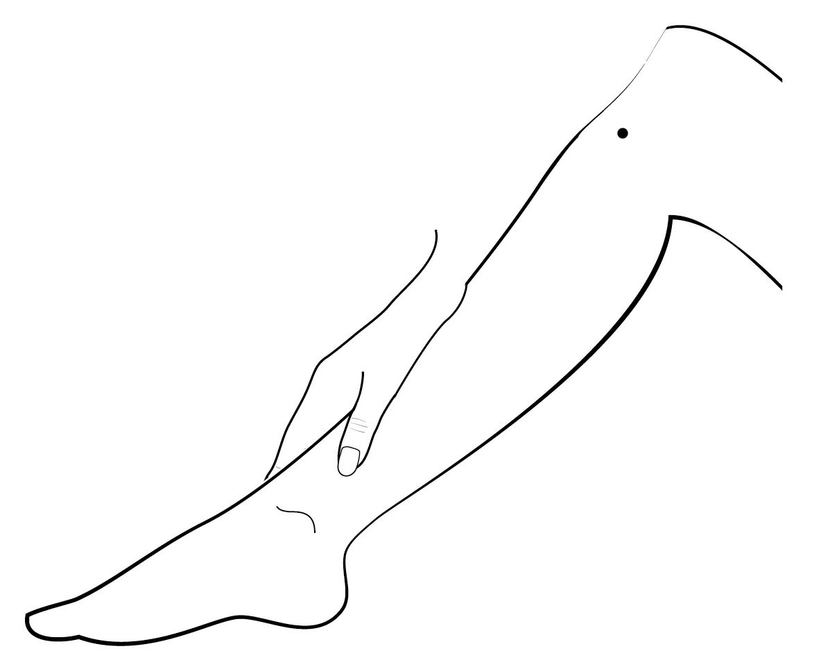 Image 56.jpeg