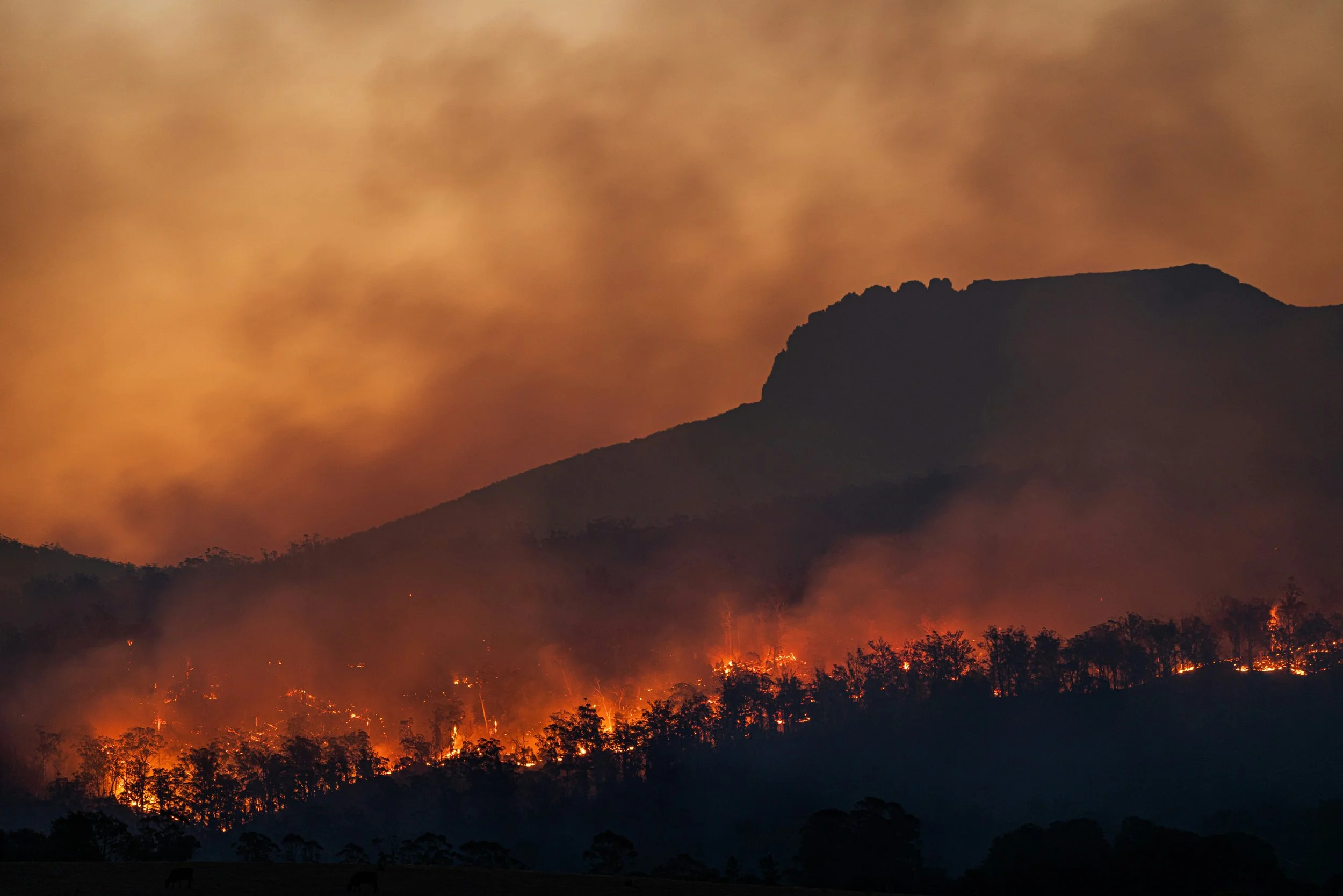 Can AI Solve Climate Change?