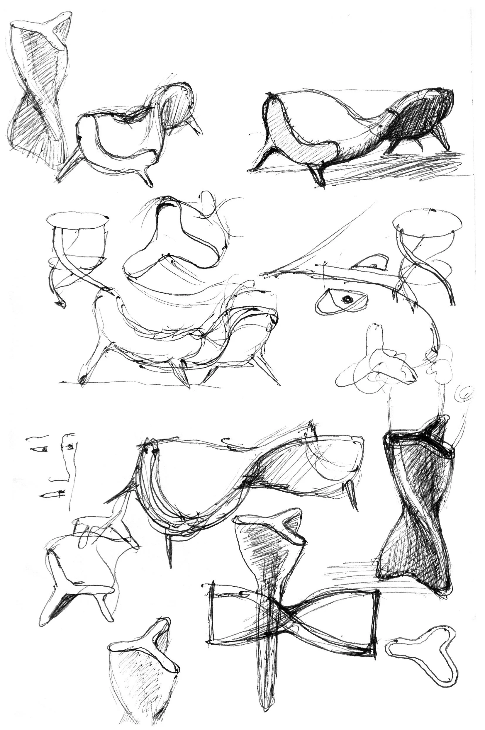 p 28.jpg