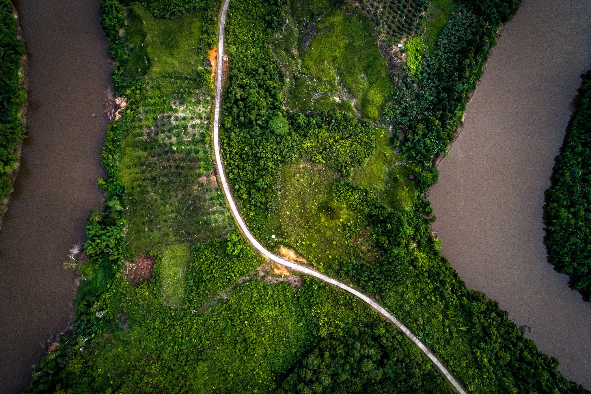 Work Stream: “The EU Deforestation Regulation – from policy to impact” 
