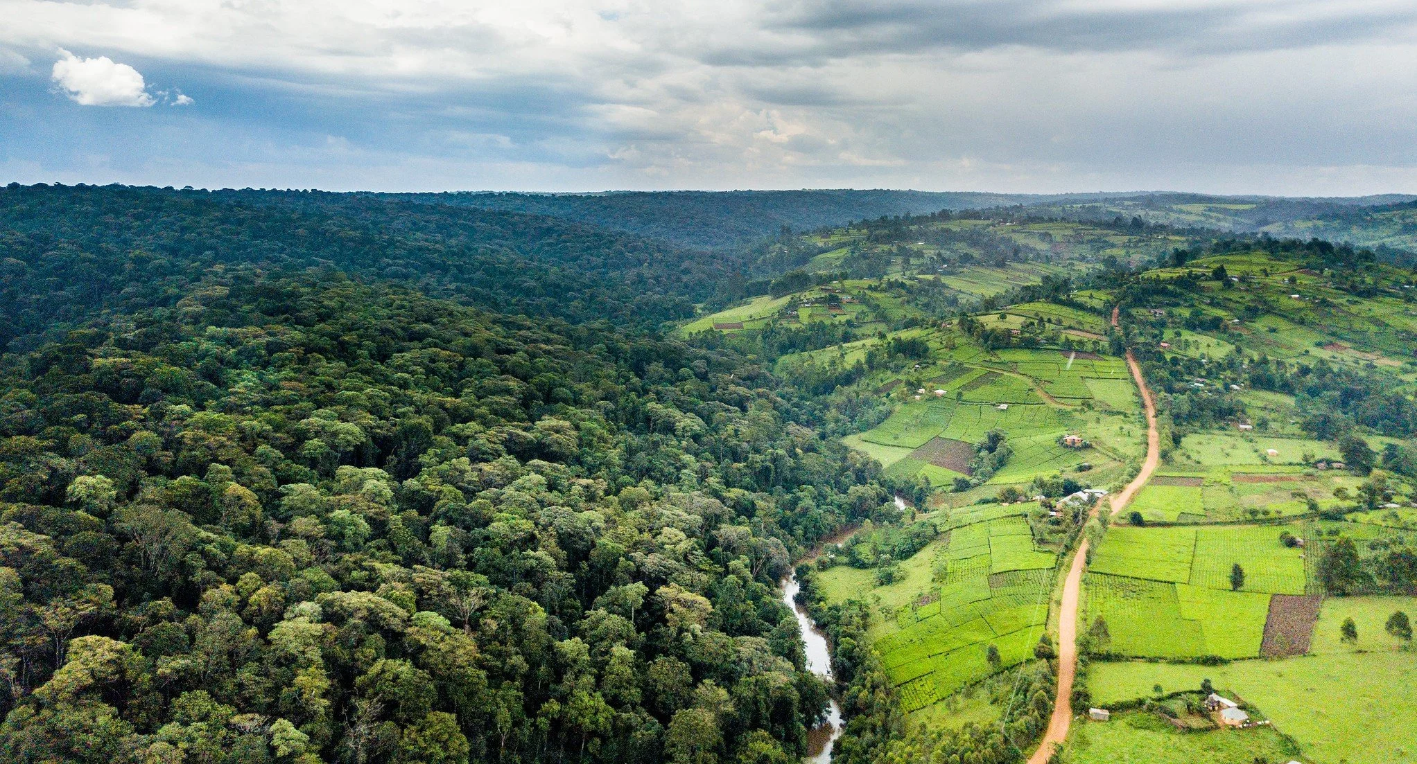 World Water Week Session: Cool forests: benefits of forests for water and agriculture