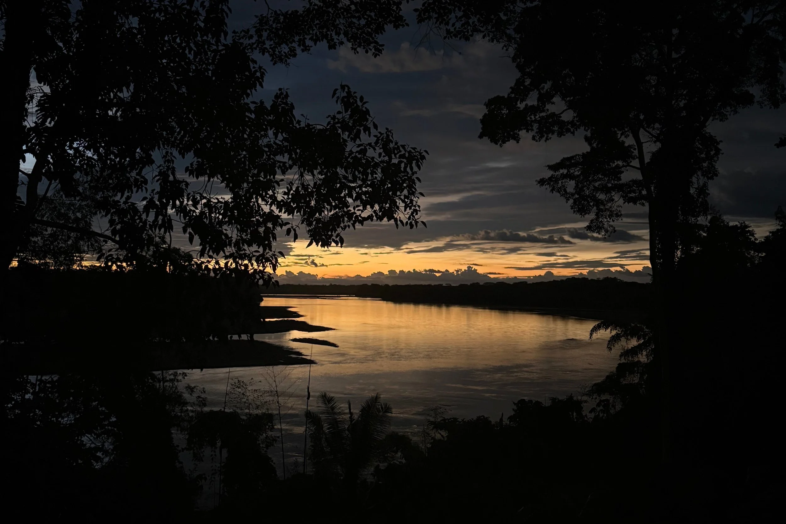 A Journey with Environmental Defenders - From Personal to Planetary Scales