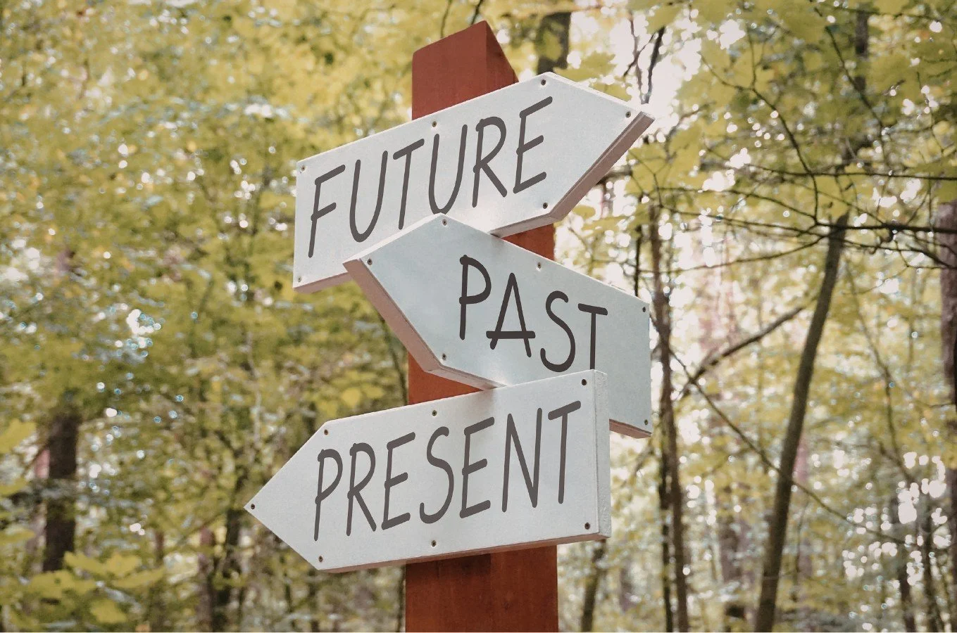 Seminar with Focali member Harry Fischer: Building “Restoration Futures” - From Ecological Repair to Creative Transformations