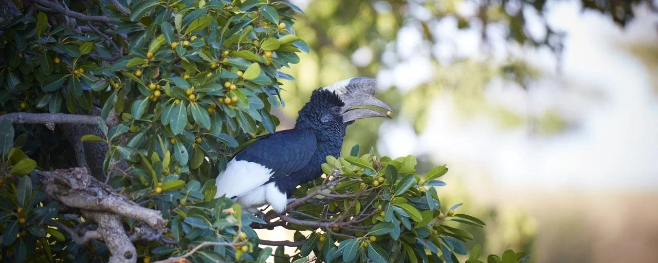 Biodiversity beyond academia: connecting research, policy and society