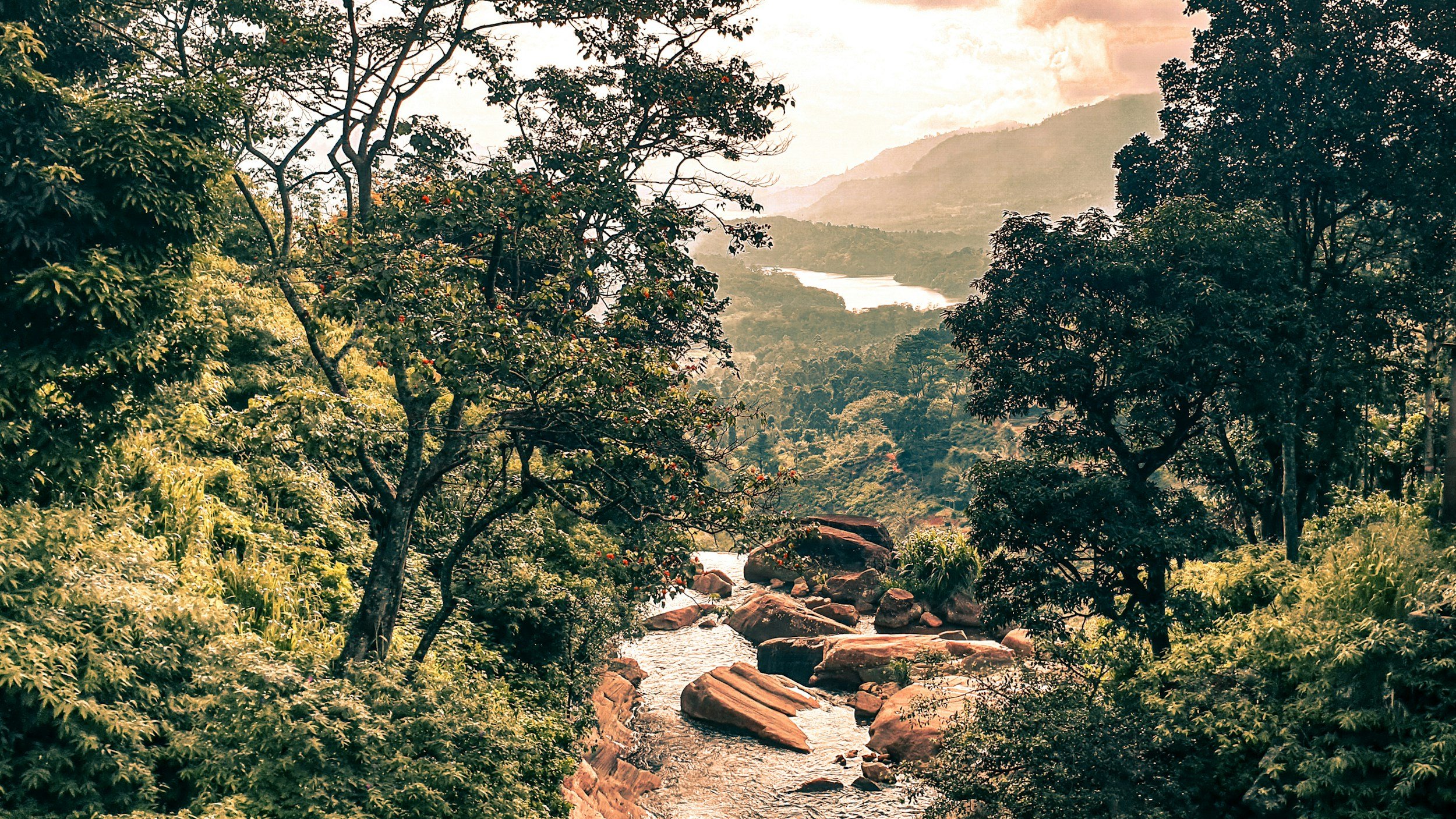 Science-based forest and landscape management for safeguarding water