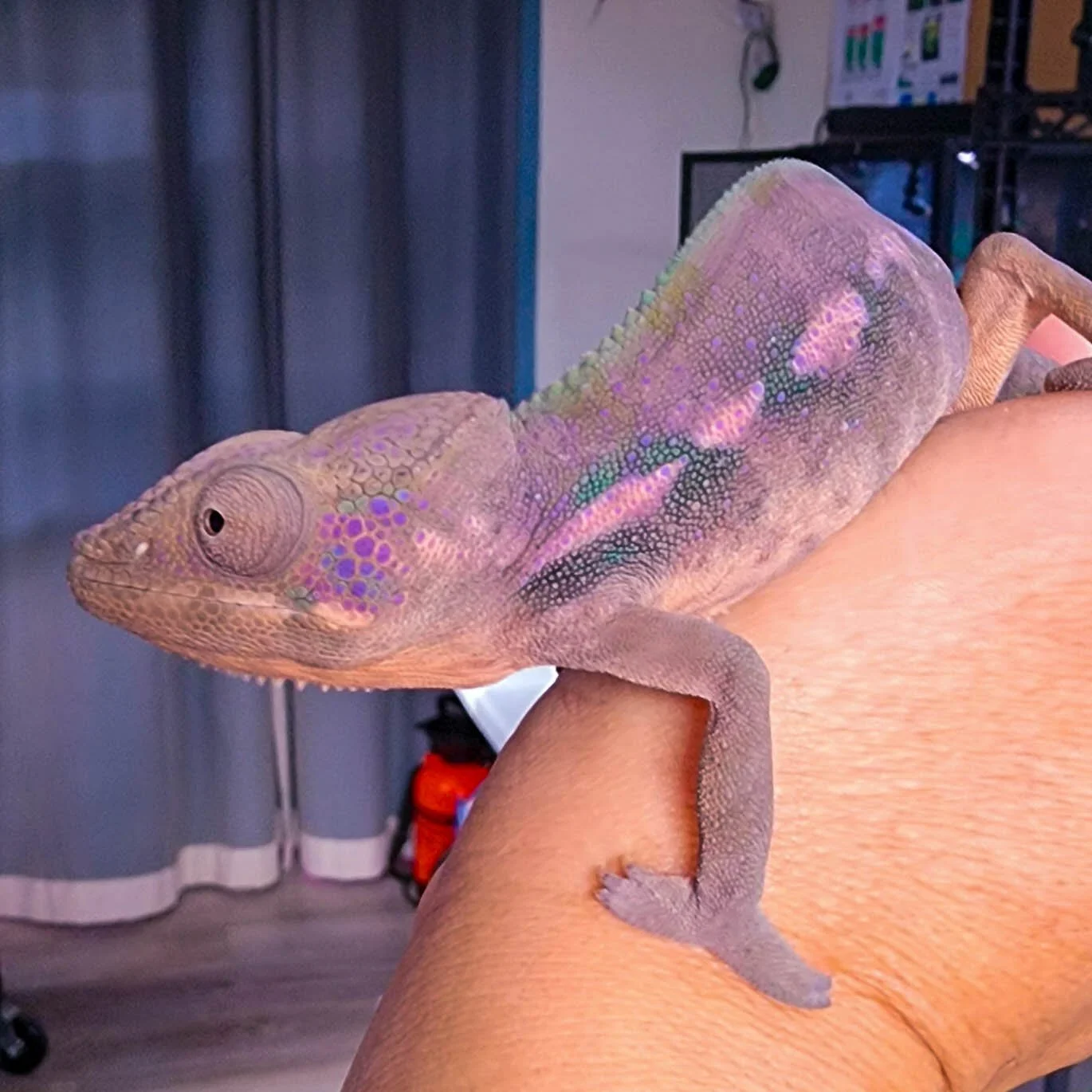 F948-F948 - 20260104_113009.jpg