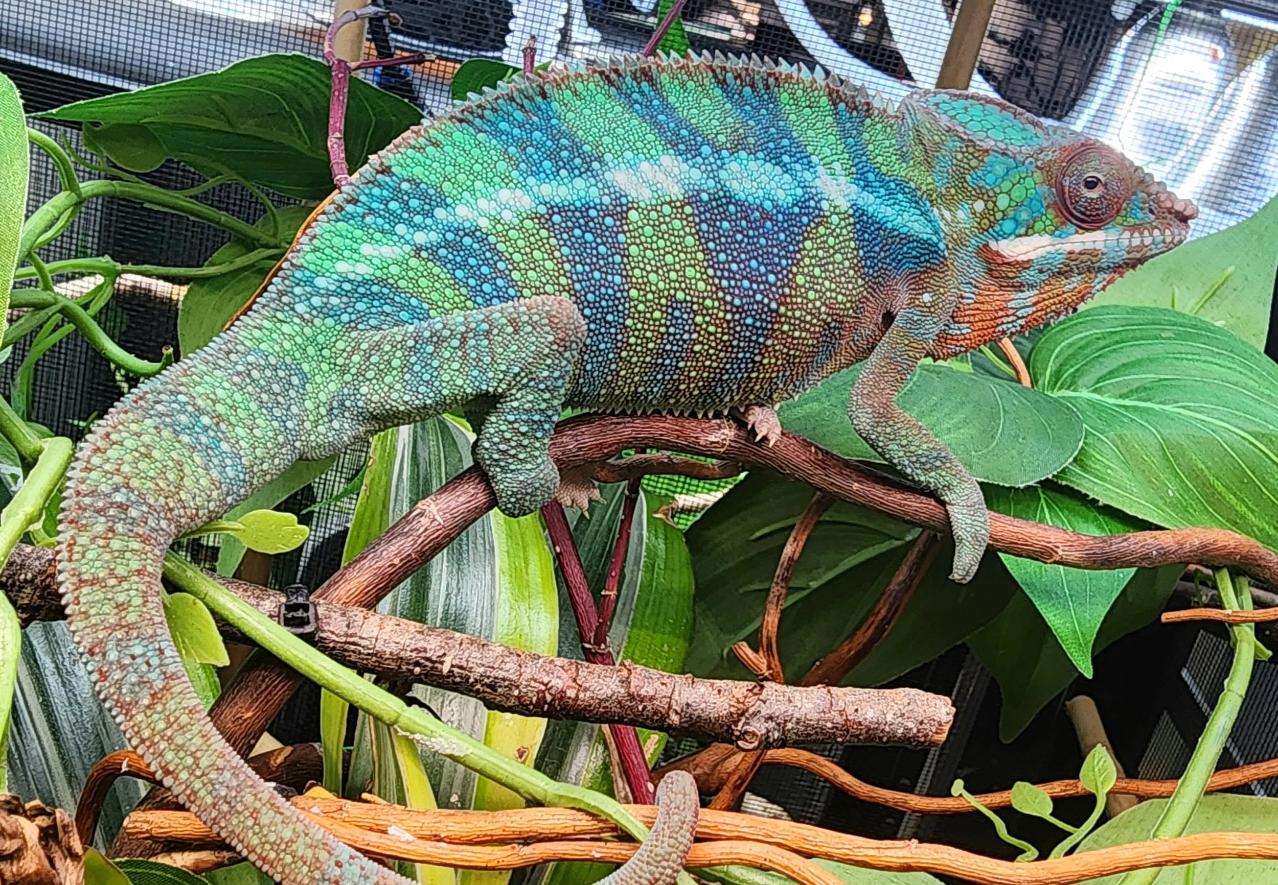 M663 - 20260422_122413.jpg