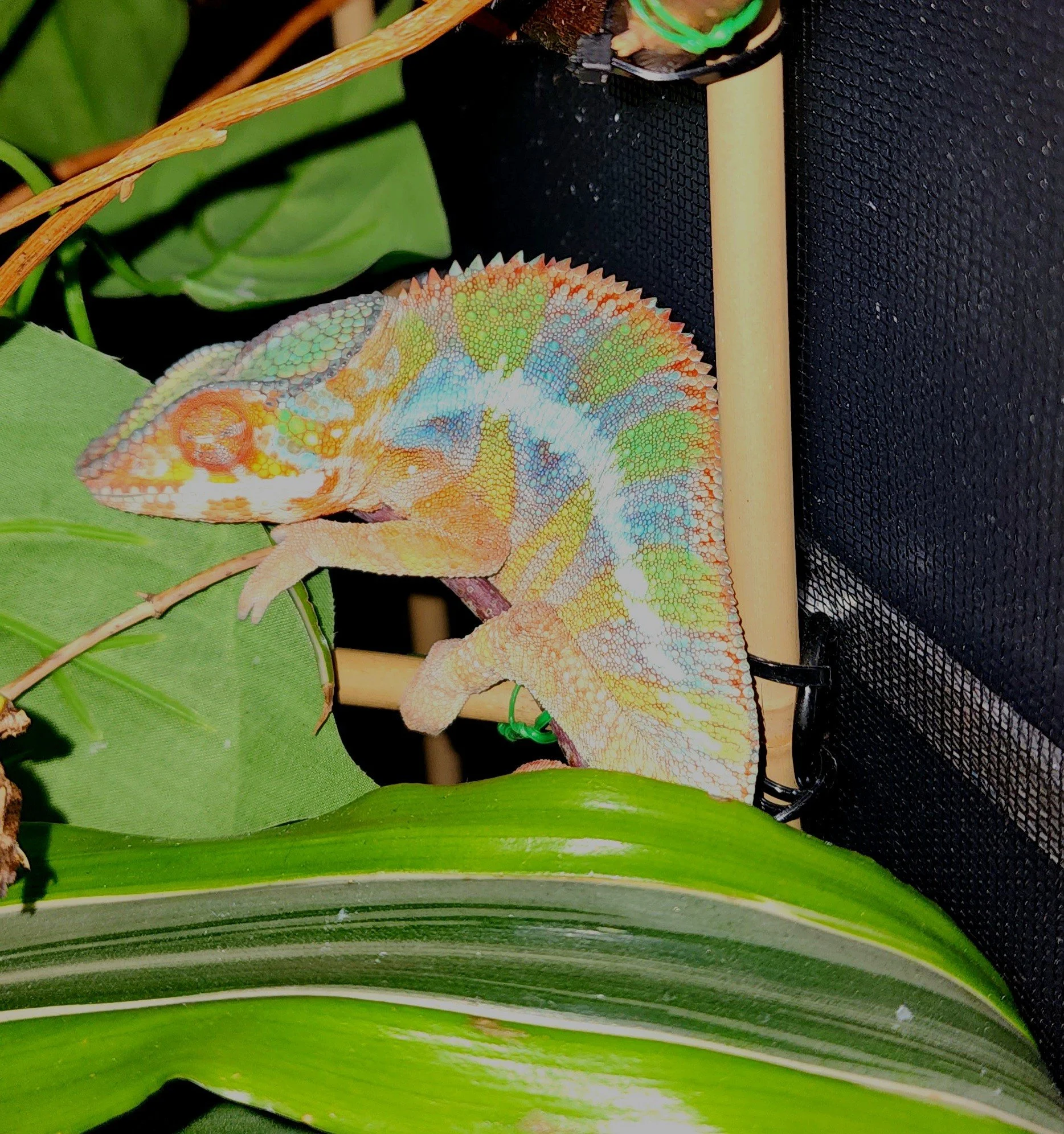 M663 - 20260422_191228.jpg