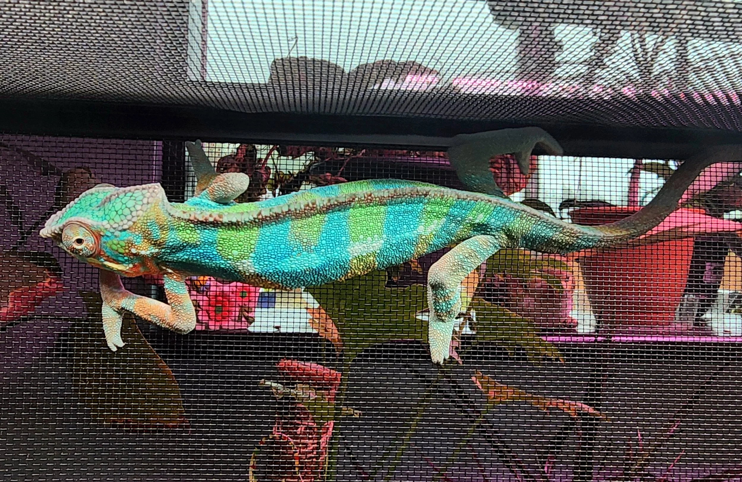 M079 - 20260422_115736.jpg