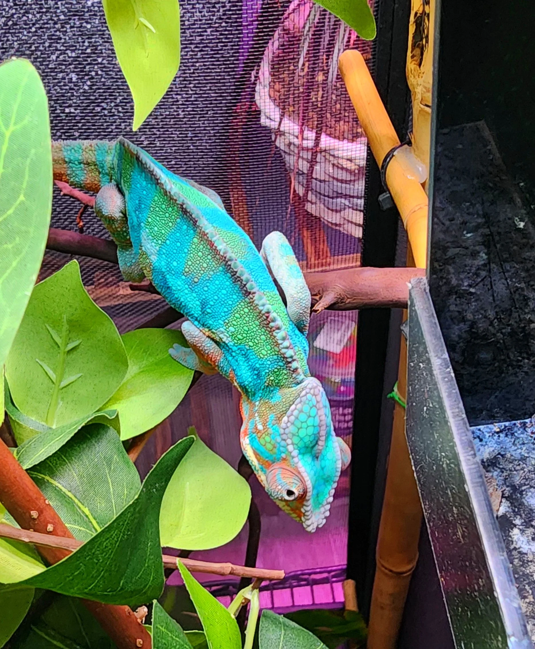 M079 - 20260421_163821.jpg