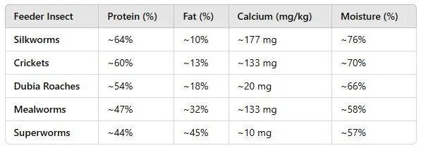 Curated visual reference: Fresh Look at Silkworms As Feeder Insects Care Nutrition Feeding Recommendations
